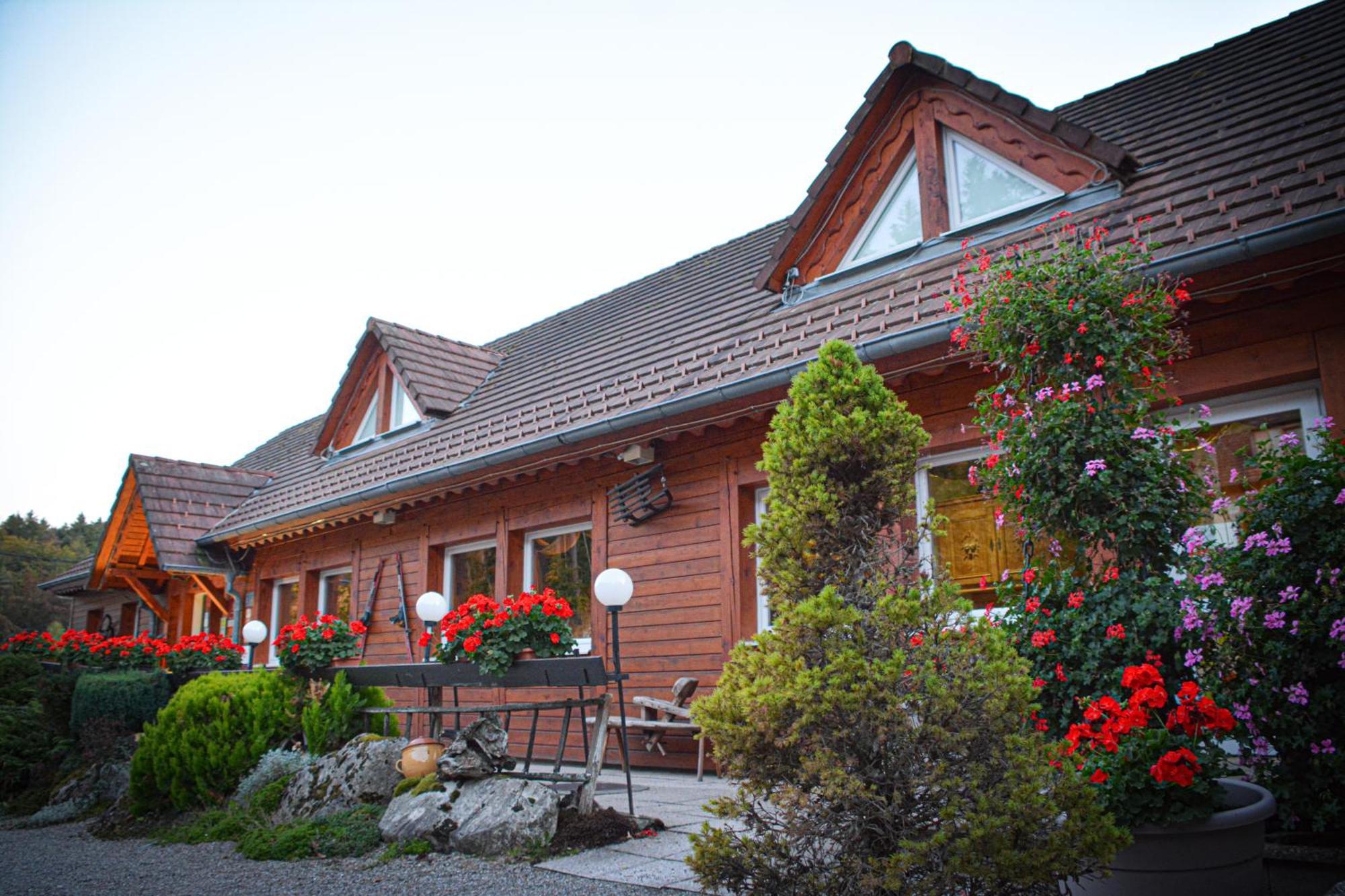 Logis Hotel Restaurant La Petite Auberge Alsace Le Hohwald Buitenkant foto